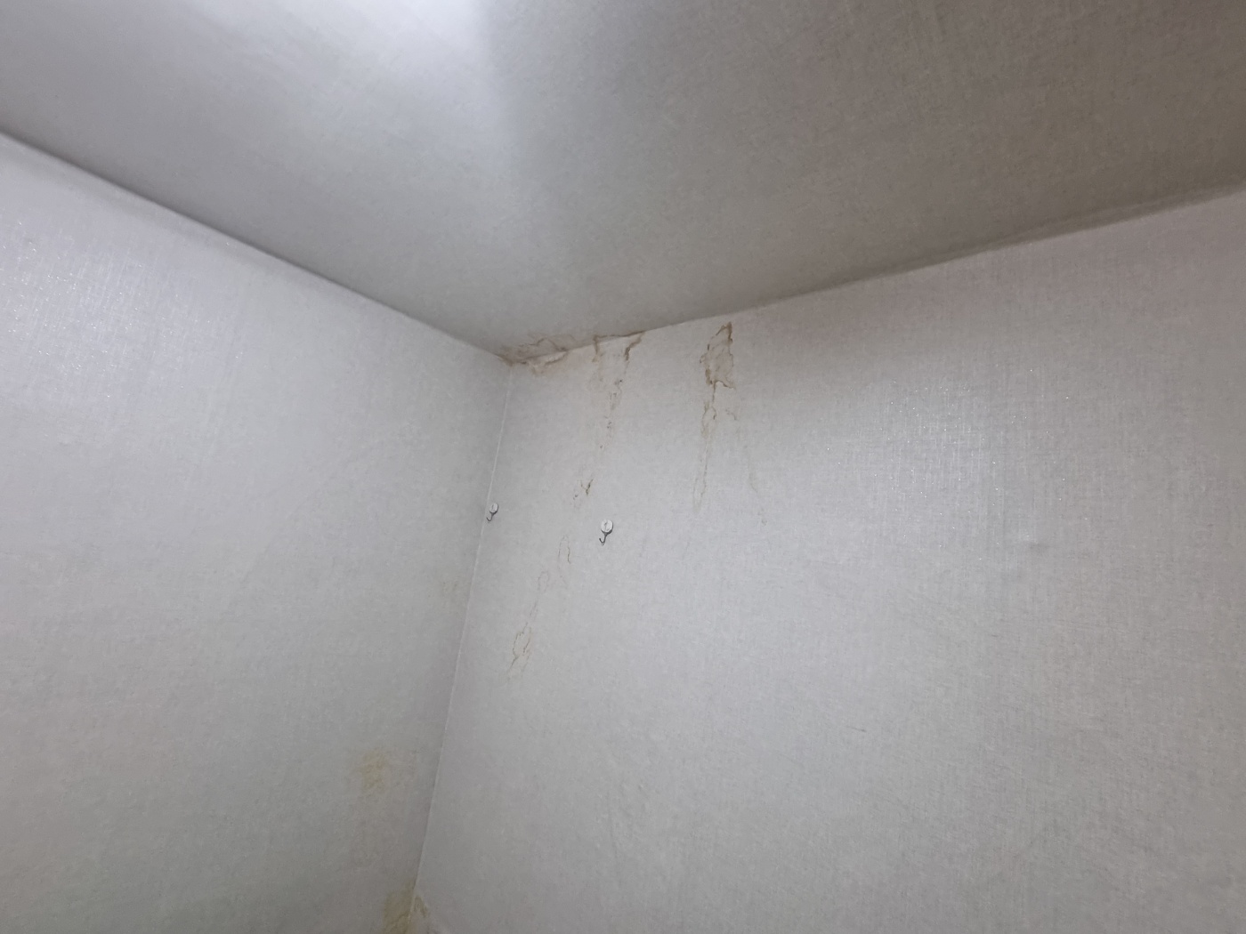 3695294320_P0WwVrey_9daf7caa647ad2f4c9e132efe9b4cfb81ac623a2.jpg 이미지크게보기